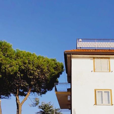 Domus Cedri Apartment Santa Maria Del Cedro Eksteriør bilde