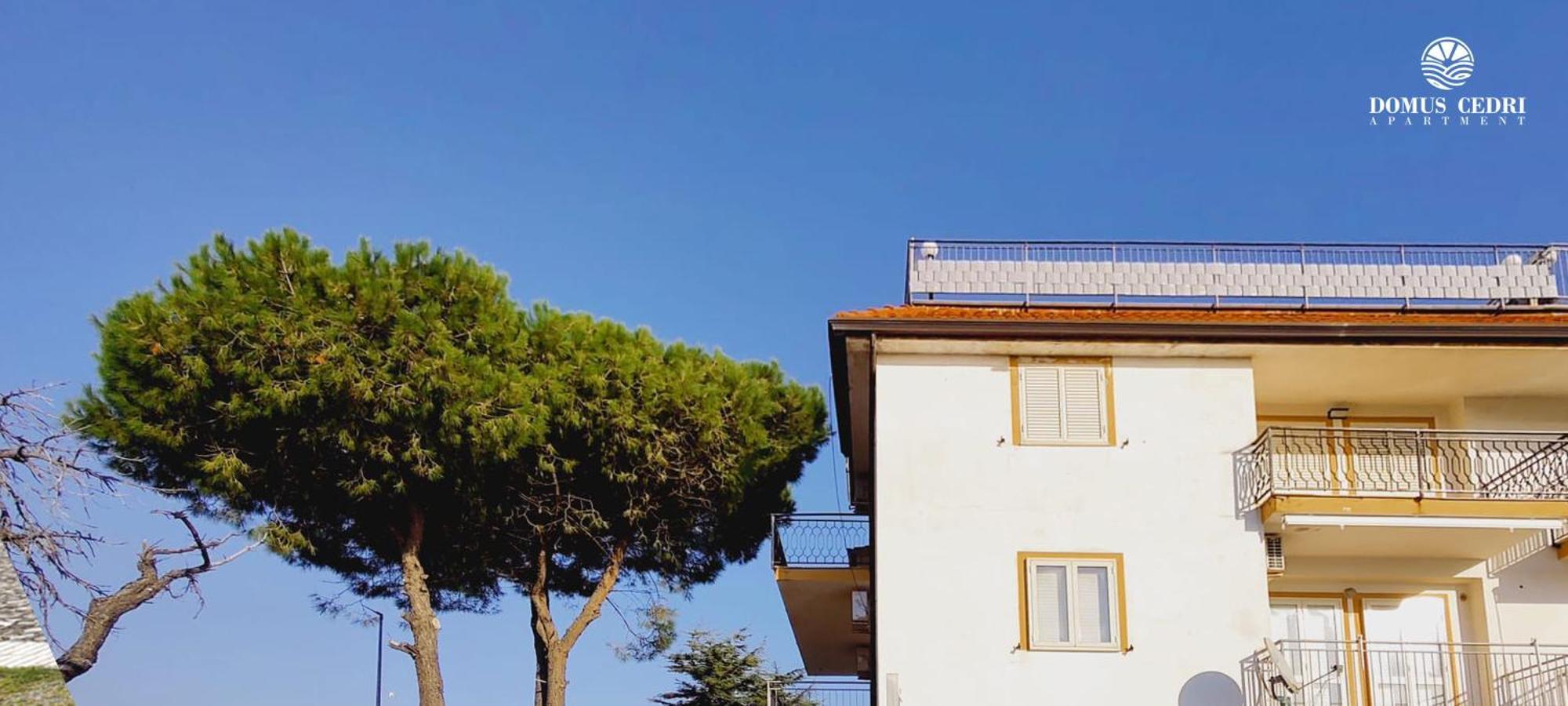 Domus Cedri Apartment Santa Maria Del Cedro Eksteriør bilde