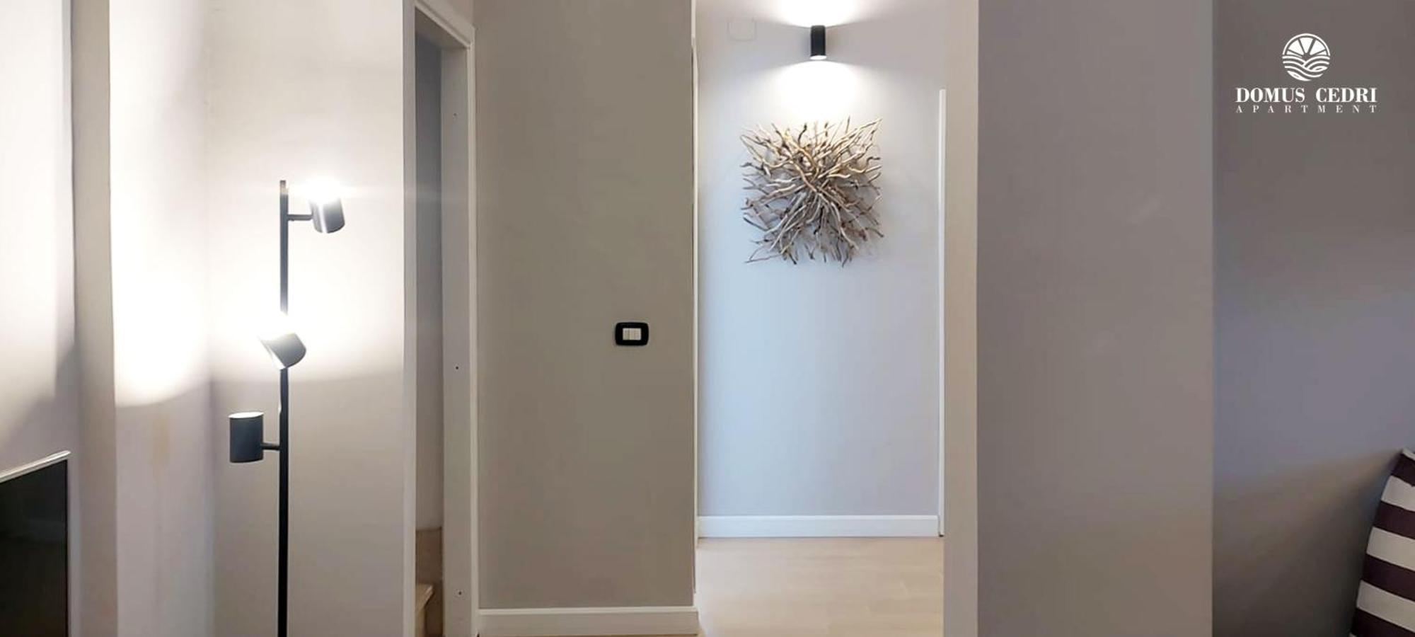 Domus Cedri Apartment Santa Maria Del Cedro Eksteriør bilde